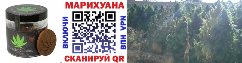omg как войти  Слюдянка  Canna-Cookies конопля  наркошоп 