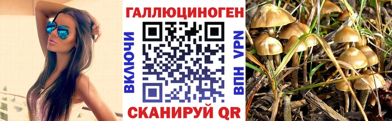 Галлюциногенные грибы Psilocybine cubensis  Слюдянка 